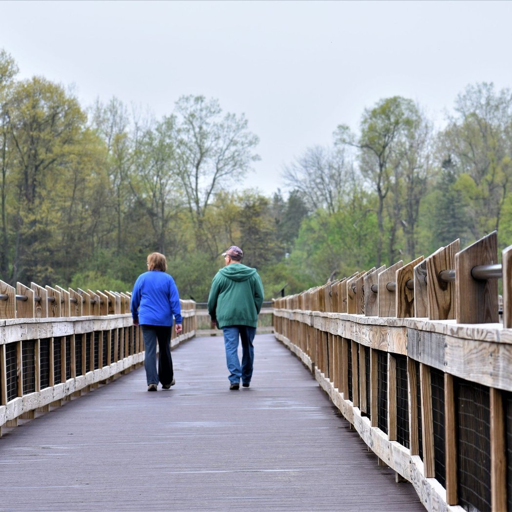 Pickerel Lake Park 2